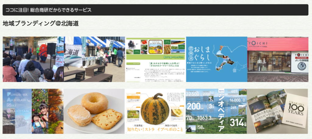 札幌、北海道の地方創生事業を行っている会社と事例をまとめ画像2